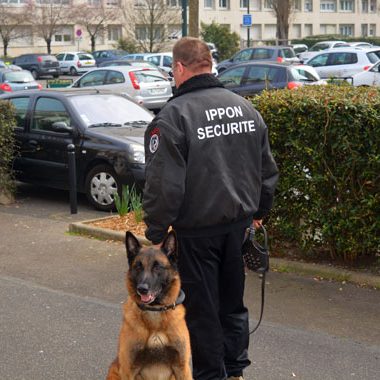 Agent-cynophile1 Agent cynophile